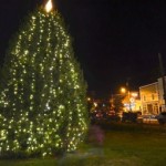 Berryville Christmas Tree, 2012