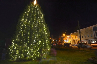 Berryville Christmas Tree, 2012