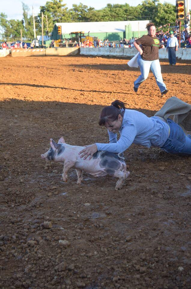 Pig Scramble Clarke County Fair