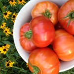 Summer Brings Tomatoes from the Waypoint House garden